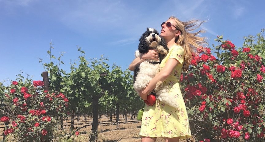 Lodi Sacramento Wine Tours