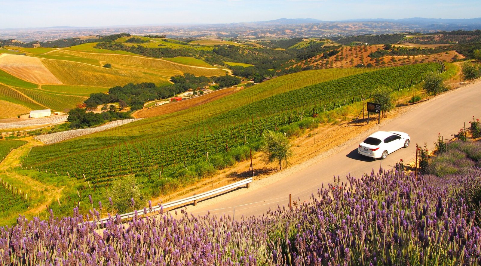 DAOU Vineyards, Paso Robles