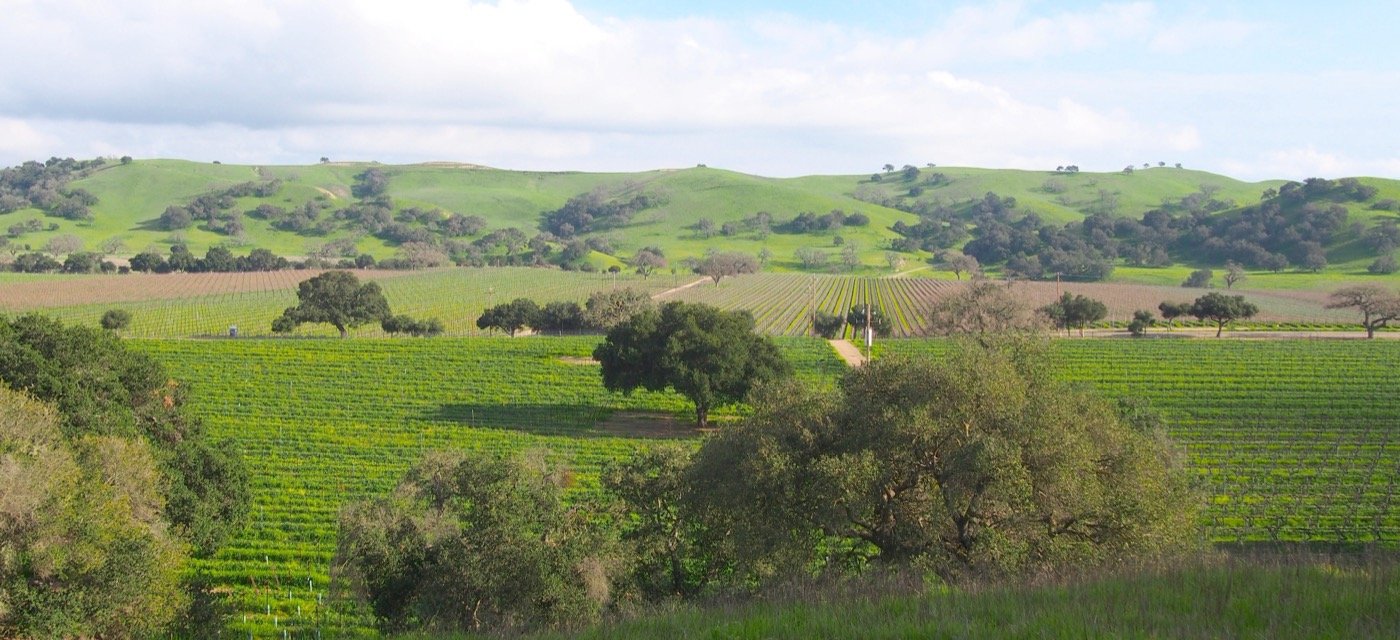 Santa Barbara wine country vineyards