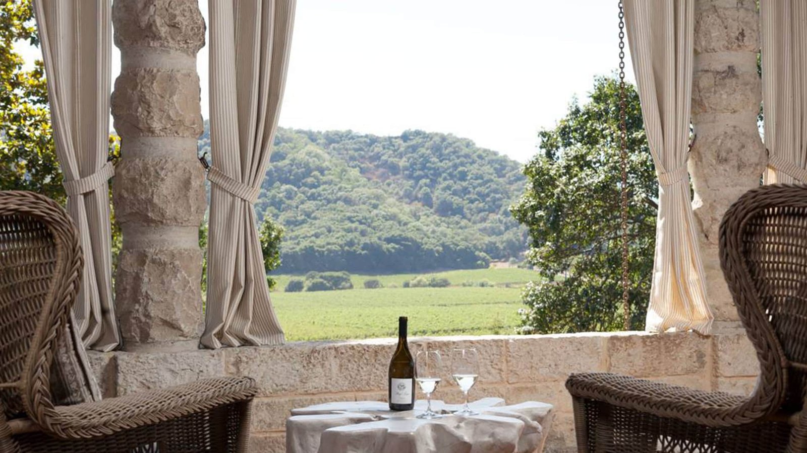 Wine tasting in Napa Valley