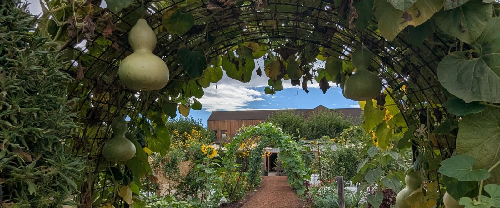 Gourd-covered garden archway over a path leading to a winery building in Temecula wine country