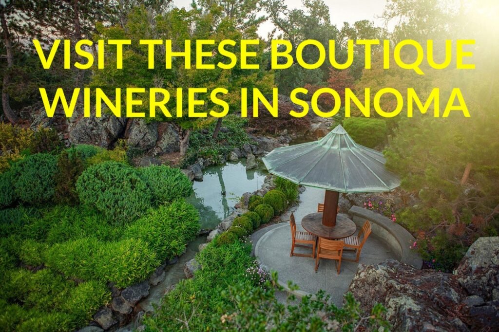 Visit These Boutique Wineries In Sonoma