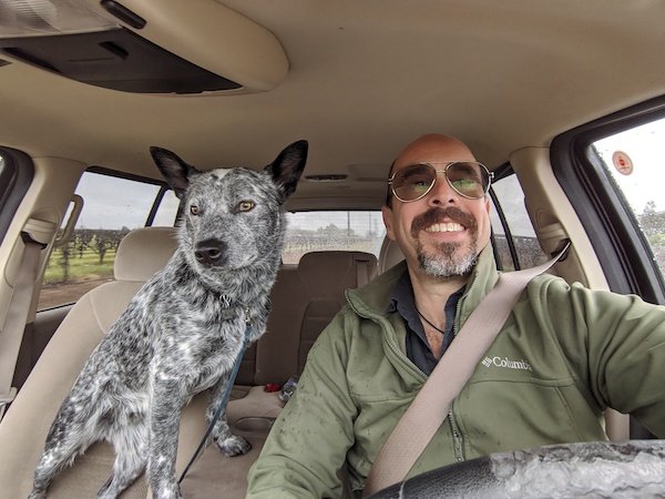 Dog Friendly Santa Ynez