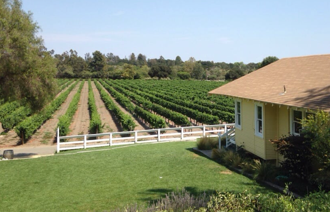 lincourt winery in santa ynez