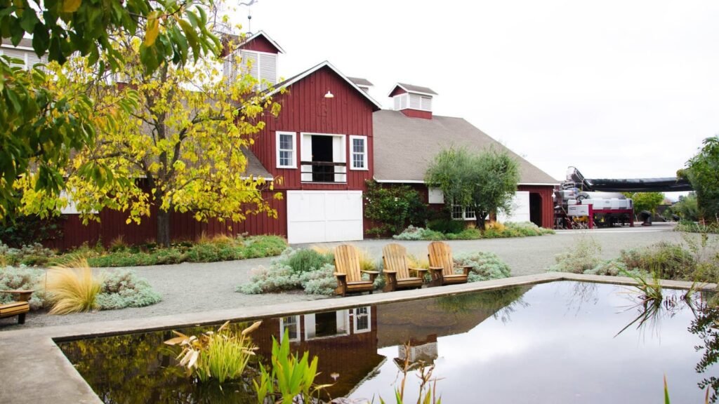 frogs-leap-winery-napa-sthelena