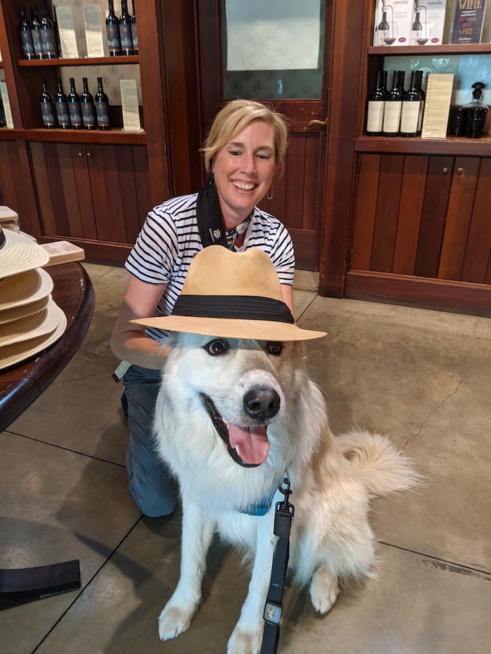 Destination Drivers Guest Wine Tasting at Dog Friendly Beringer Winery