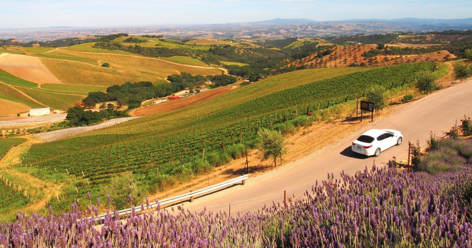 wine tour car going up to DAOU in Paso Robles