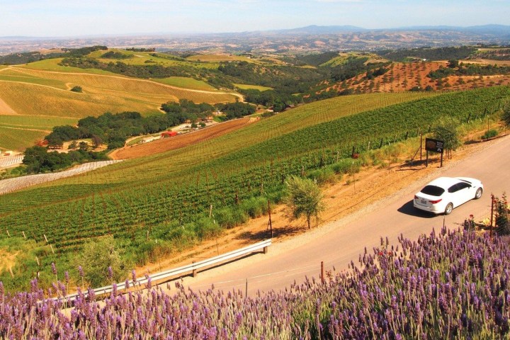 driver in wine country hill in paso robles