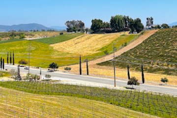 wine tour stop overlooking the roads and vineyards