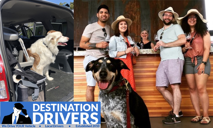 dogs at dog friendly wineries in paso Robles