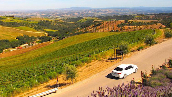 a view of a mountain road up to DAOU winery