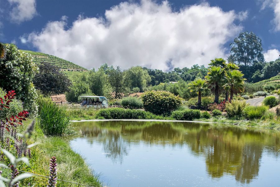 Stunning Landscaping of Benziger Family Winery in Glen Ellen California Sonoma County